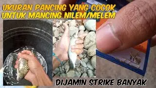 Ukuran Pancing Untuk Mancing Ikan Nilem/Melem