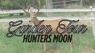 The Daily Sprout Episode #34 - Hunters Moon Garden Tour