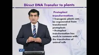 Protoplast Transformation | Introduction to Biotechnology | BIO5101_Topic132