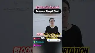 Blood TRANSPORTATION and CIRCULATION | easy explanation!! | #lifeprocesses #sciencesimplified