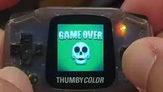 Let's Wing It! Thumby Color