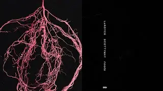 LeRoyce - Roots (feat. ScottyMay)