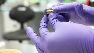 Tecnolog&iacute;a en Lubricantes Interlub