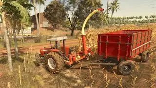 S&Oacute; NA SILAGEM - Faisca cortando milho para fazer silagem, o gado agradece - Farming Simulator 25