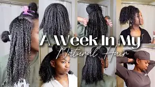 A REALISTIC WEEK IN MY NATURAL HAIR | CURLY HAIR ROUTINE | DIAMOND ALEXUS