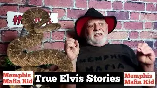 Did Elvis Presley Have Phobias?
