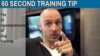 60 Second Training Tip: The 10 Commandments Of Dog Training