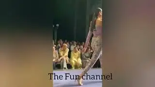 Sadaf kanwal ramp walk at FPWF19🔥