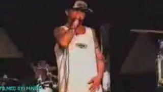 RIZE LIVE - HAVOC/BLACK FLY