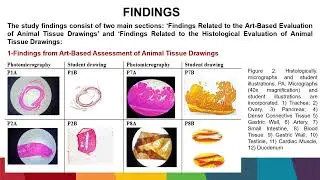 Scientific and Artistic Analysis of Animal Tissue Microscope Drawings by Science Teacher Candidates