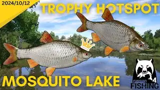 Common Roach Trophy Hotspot Mosquito Lake Russian Fishing 4