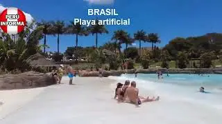 Playa artificial de Porky es criadero de zancudos, el agua es de color verde por las algas y el moho