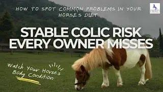 Stable Colic Risk Every Owner Misses