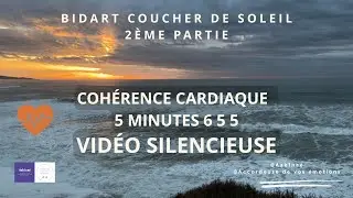 2.1 COHÉRENCE CARDIAQUE - 5min 6 5 5 - Pas de son