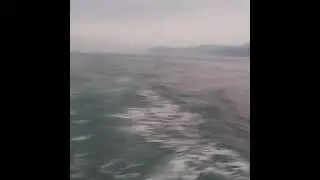 pesca embacado