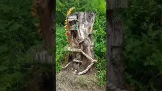 Old tree stumps decor ideas #short #shorts #shortsfeed #treestump #fairygarden