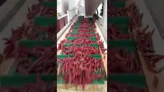 Dry red chilli stem cutting machine fully automatic