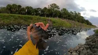 FL MICRO FISHING. Chill rainy day of fishing. WPB LOX
