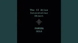 The 3 I Interstellar Object