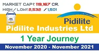 Pidilite Industries Ltd 1 Year Journey