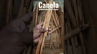 CANELA beneficios para el pelo #youtube #shorts #boneflute