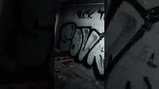 Full video on @TheHauntedArchives #scary #demonic #creepy #demon #haunting #horror #demonhunting