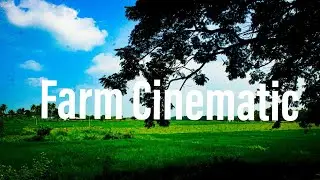 Paddy Field Farm Broll Footage | Epic Life Cinematic Short | Forest India Tamilnadu Stock Free Video