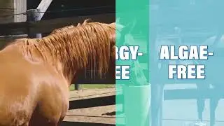 Mane 'n Tail presents EQUUS Television's  On-The-Scene Coverage of the Maryland 5 Star