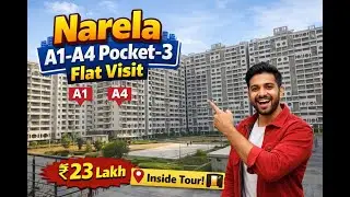Narela A1 A4 Pocket 3, Detailed Visit Information