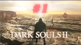 Dark Souls II: Scholar of the First Sin #1: Into the peaksouls