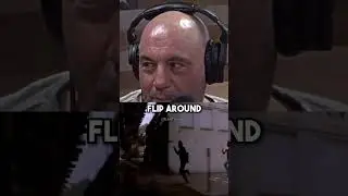 Joey Diaz Roasts Steven Seagal 😂