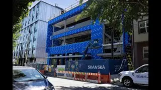 Transforming Veterinary Care | DoveLewis Project Whiskers Expansion