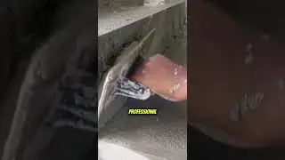 &ldquo;Amazing Plastering Trowel Work | Smooth Concrete Finishing Technique Like a Pro&rdquo;