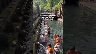POV: You go to a wellness retreat in Bali...