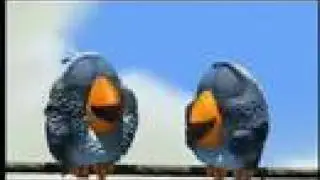 Bird Like A Magazine