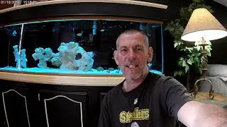 Chribeca1229's Travel Bug Hotel video