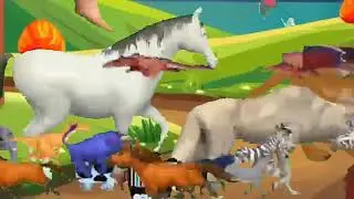 Zoo Animals Green Screen Magic: Wild Animals Funny Reactions!