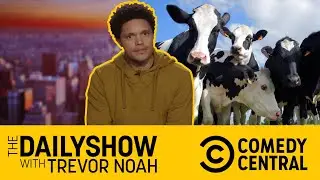 Potty-Training Cattle 😲😲😲 | Comedy Central Africa