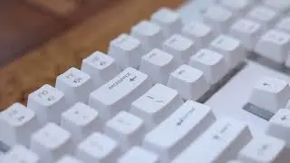 The Editor