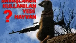 SAVAŞLARDA KULLANILAN YEDİ HAYVAN