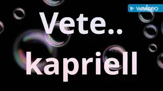 Vete The new element flow factory records