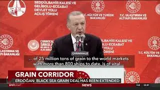 Erdoğan announces Black Sea grain deal has been extended