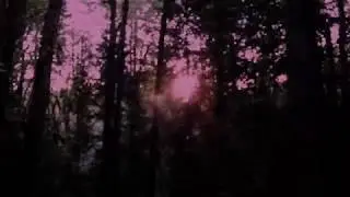 Folian - Ghost In The Flesh (music video)