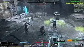 TESO pvp - Суровые будни оборотня (Фан тест)