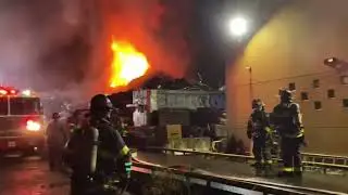 FDNY Tribute (Back in the New York Groove)