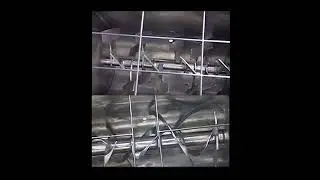 Comparison between paddle mixer and ribbon blender