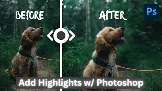 How To Add Highlights To Any Subject (Or Object) - Photoshop - Detailed Tutorial