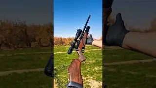 BSA R10 Air Rifle #airguns #airrifleshooting