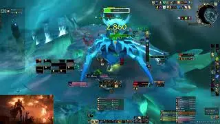 Mythic Sennarth - Holy Paladin PoV - Vault of the Incarnates