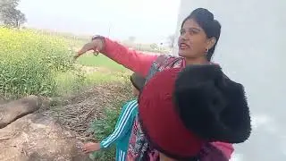 हमारे लहराते हुए हरे हरे खेत कैसे लगे🙏🙏🌱🌱🛕🛕